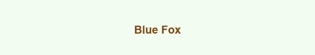 Banniere grossistes-blue-foxhtml